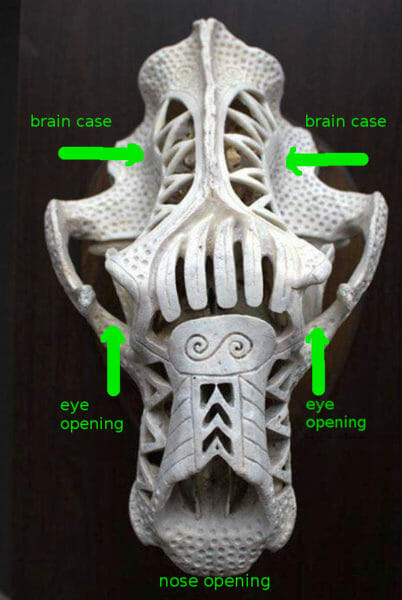 Carved Polar Bear Skull Shows Where to Aim