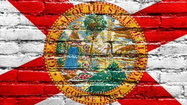 NRA-ILA Florida Flag Wall Paint