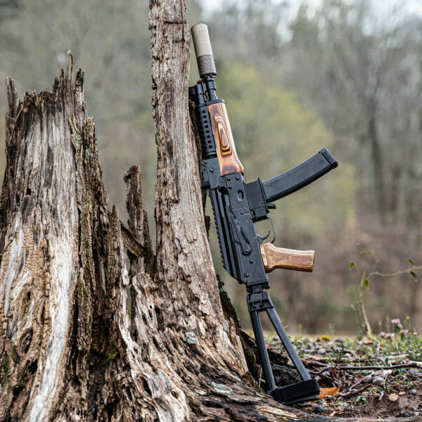 Palmetto State Armory AK-V with wood furniture.