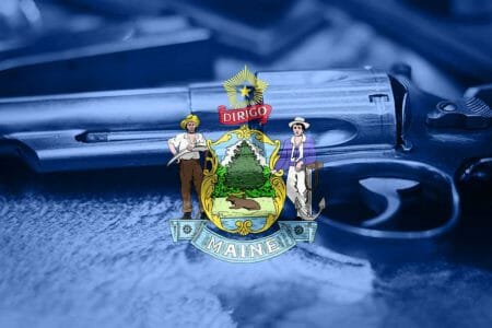 Could Collins Continue Imperfect Second Amendment Defense? iStock-884203988