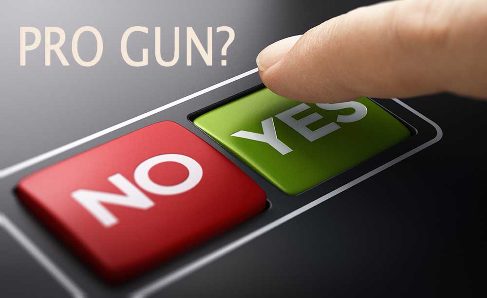 Pro GUn Buttons Yes No iStock-Olivier Le Moal 1191857368