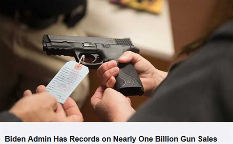 FreeBeacon Screenshot Biden Admin Has Records on Nearly One Billion Gun Sales