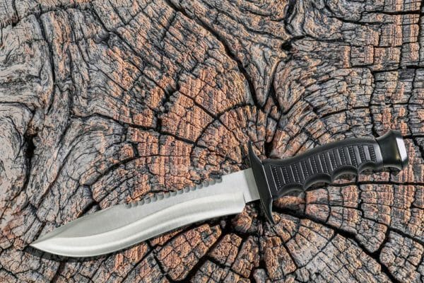 Bowie Knife iStock-1025436066