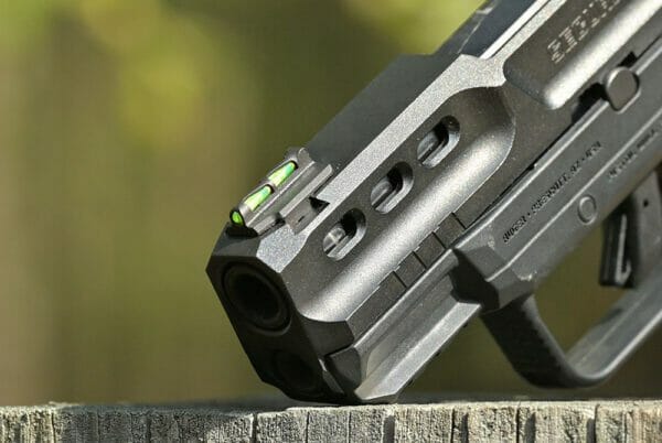 Ruger Security 380 Front Sight