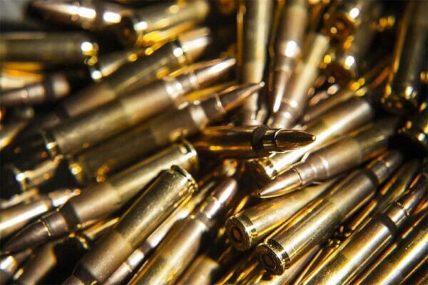 Lithuania Giraitės ginkluotės gamykla 223 556 ammunition