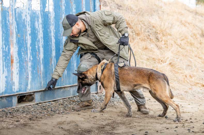 5.11 Tactical Mission Ready Dog Leash, AROS K9 Harness and AROS K9 Collar 1.0