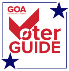 GOA-Voter-Guide-graphic