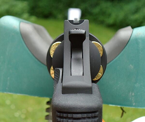 Taurus Defender 856 TORO sights