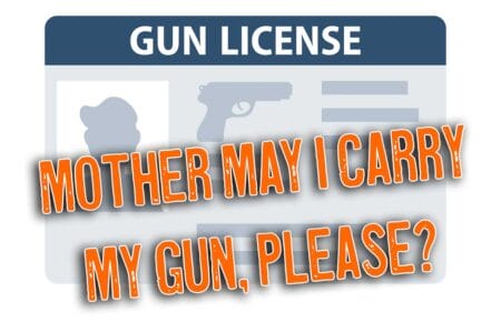 gun license permission slip iStock-Oleksandr Hruts 1468255807