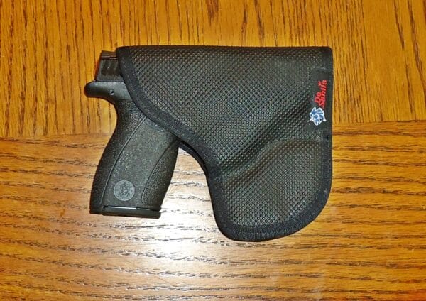 Smith & Wesson Bodyguard 2.0 .380ACP in DeSantis Holster