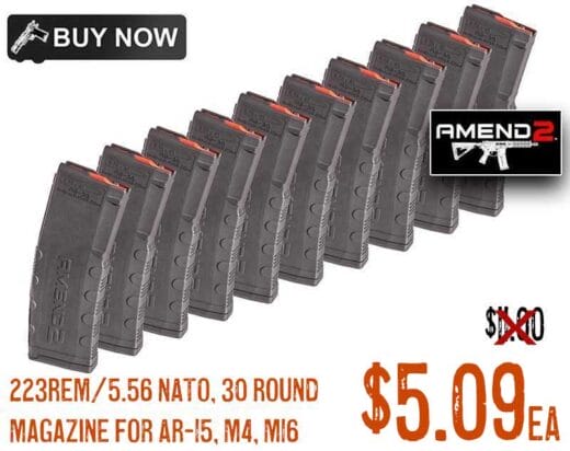 Amend2 Mod 2 AR15 223 Rem 5.56 30 Rd Magazines nov2024