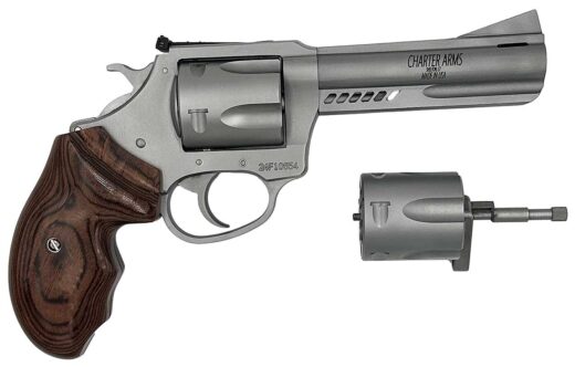 Charter Arms Double Dog Revolver 4.2" Ported Barrel