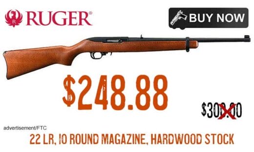 RUGER 10/22 Carbine 22LR Hardwood Rifle lowest price Nov2024