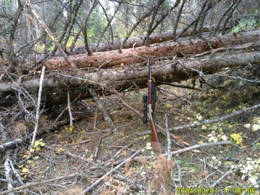 On a recent hunt in a National Forest, right after the described wilderness trip I hit one trail that had 13 trees/jam-ups within a 200-yard stretch!