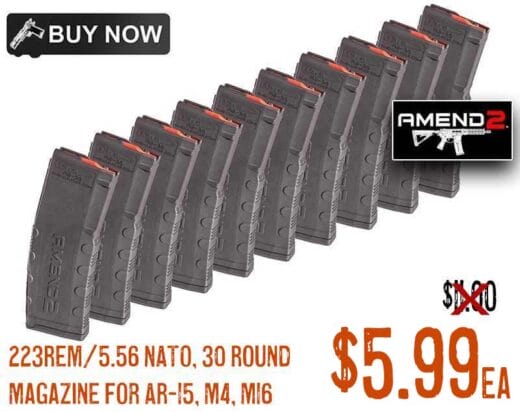 Amend2 Mod 2 AR15 223 Rem 5.56 30 Rd Magazines dec2024