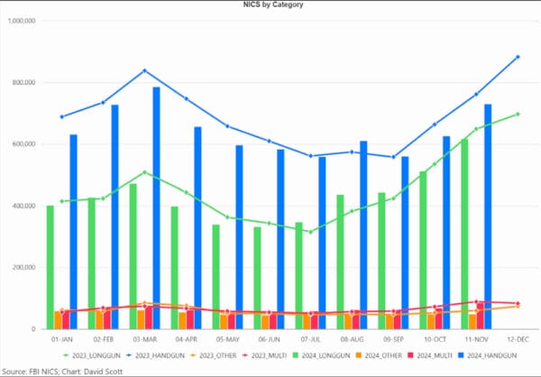 November 2024 NICS by Category