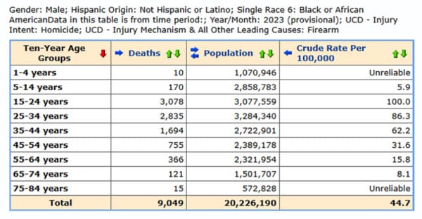 All statistical data in this article accessed via the CDC Wonder tool: https://wonder.cdc.gov/mcd-icd10-provisional.html