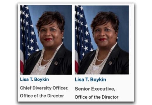 ATF Lisa T. Boykin Before Trump's Arrival, After Trump's Arrival