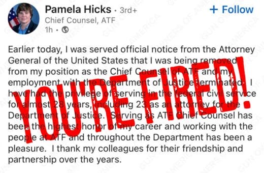 Pamela Hicks LinkedIn Statement 02-2025 You're Fired