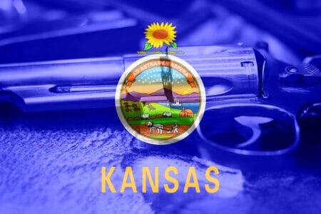 Kansas Senate Bill 137 Reforms Police Gun Sales iStock-884178826